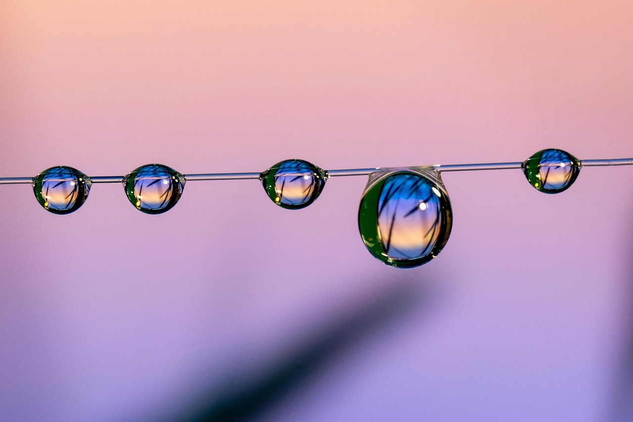 卖vx的网站：趣体育app详情下载教程