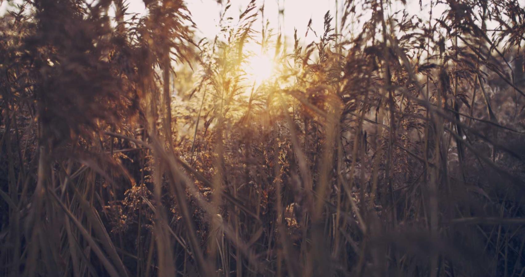 利用短信群发开展品牌探索活动 