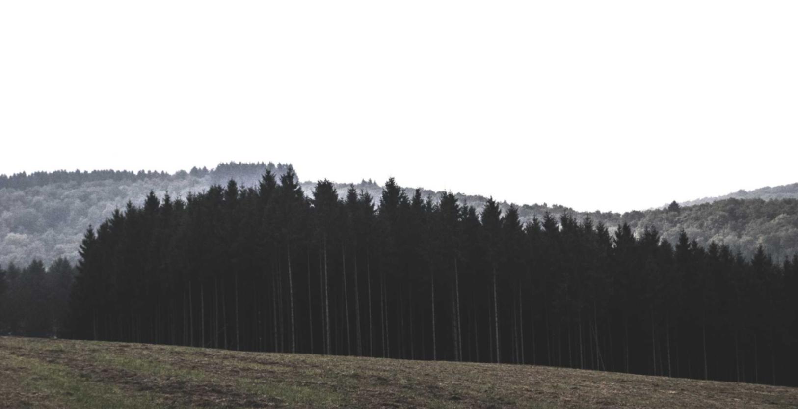 技术支持辅助对游戏的未来发展将产生什么样的影响 