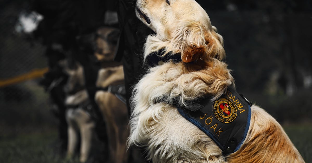 技术支持如何影响游戏的故事和叙事